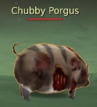 Chubby Porgus