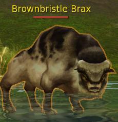 Brownbristle Brax