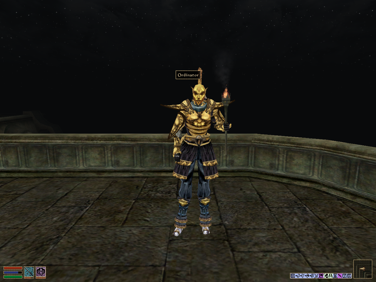 Indoril Ordinator 40mm Brass Pin Morrowind-glitter-pin Guard - Finland