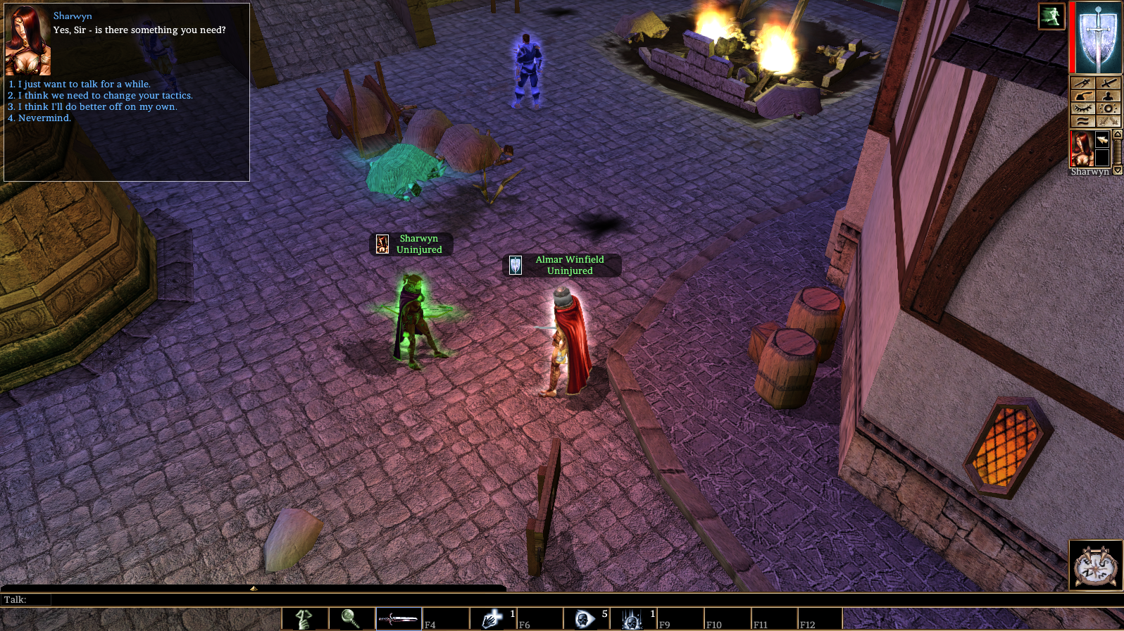 Sharwyn's Tale - NWN Henchman Quest (Chapter 1)