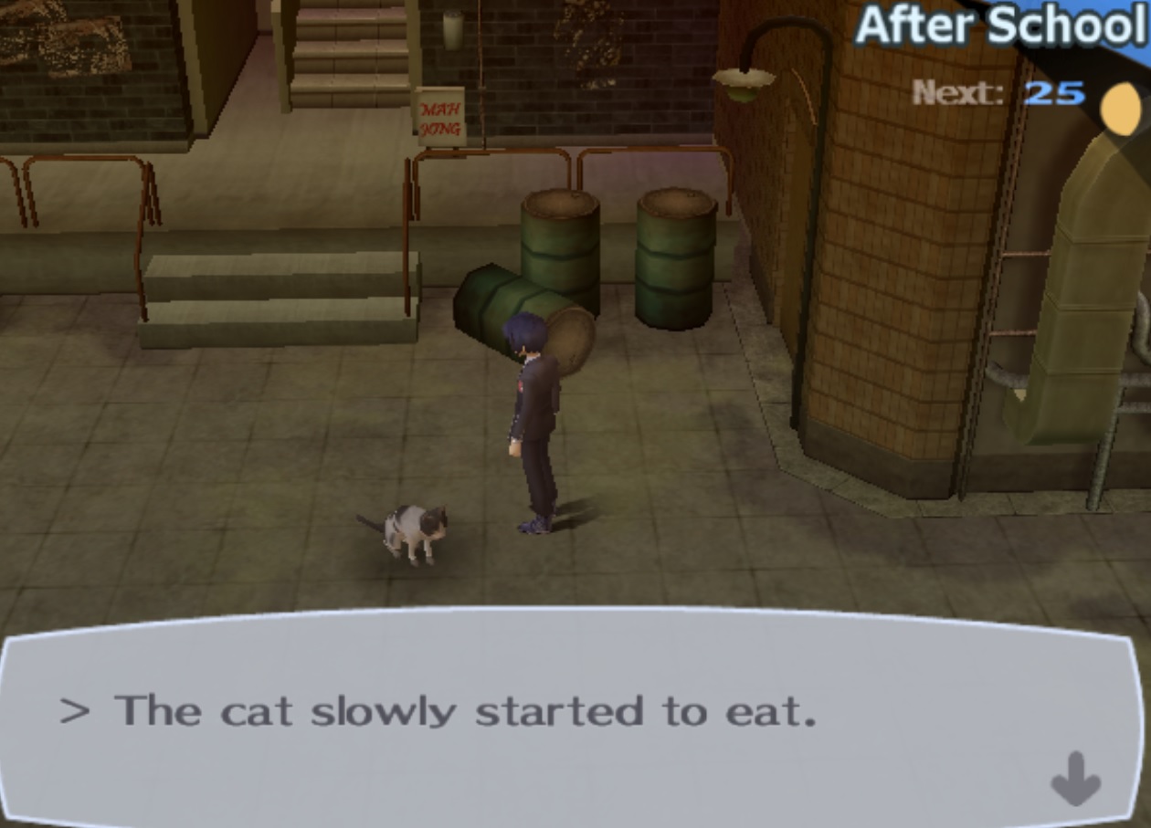 Persona 3 cat food